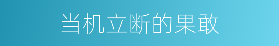 当机立断的果敢的同义词