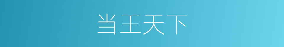 当王天下的同义词