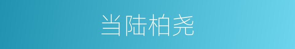 当陆柏尧的同义词