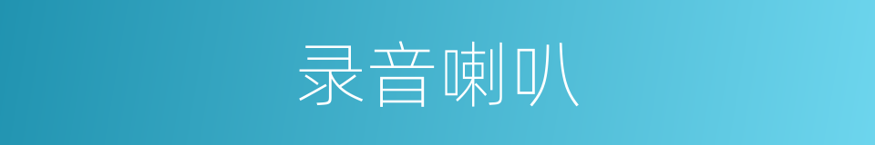 录音喇叭的同义词