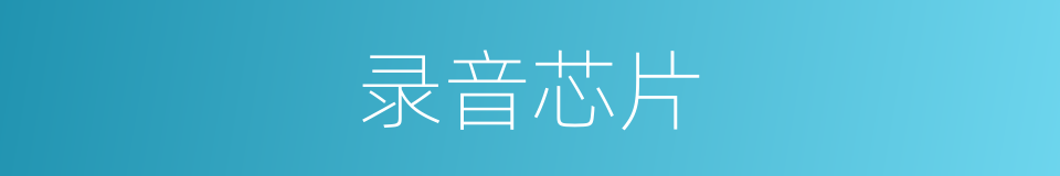 录音芯片的同义词