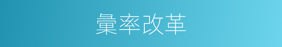 彙率改革的同義詞