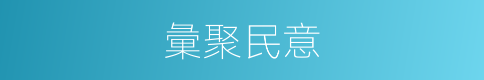 彙聚民意的同義詞