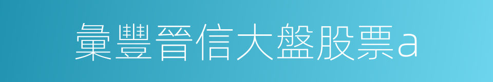 彙豐晉信大盤股票a的同義詞