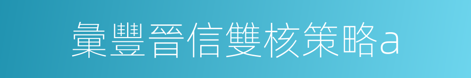 彙豐晉信雙核策略a的同義詞