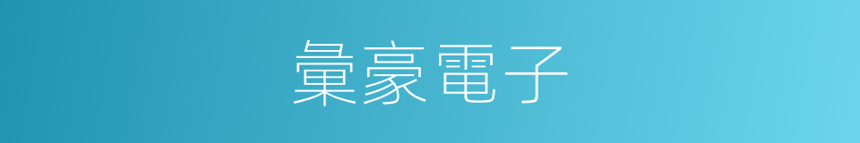 彙豪電子的同義詞