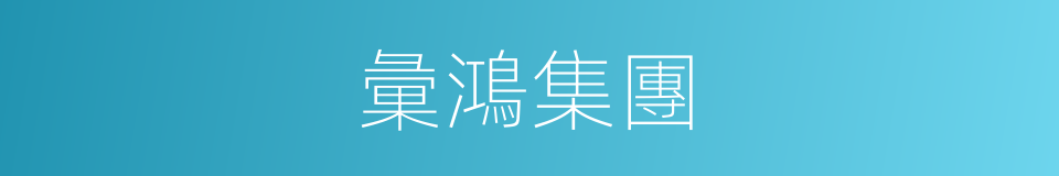 彙鴻集團的同義詞