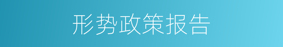 形势政策报告的同义词