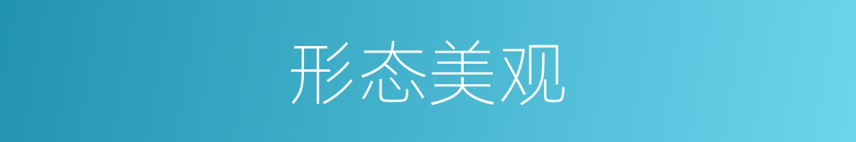 形态美观的同义词