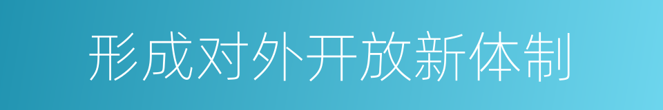 形成对外开放新体制的同义词