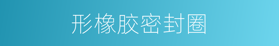 形橡胶密封圈的同义词