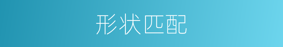 形状匹配的同义词