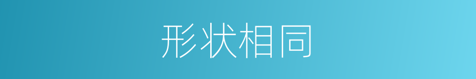 形状相同的同义词