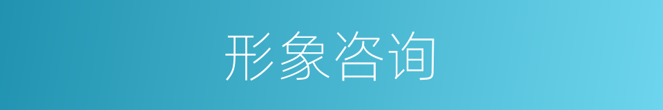 形象咨询的同义词