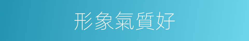 形象氣質好的同義詞