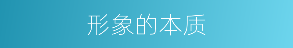 形象的本质的同义词
