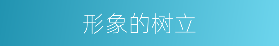 形象的树立的同义词
