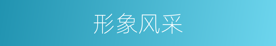 形象风采的同义词