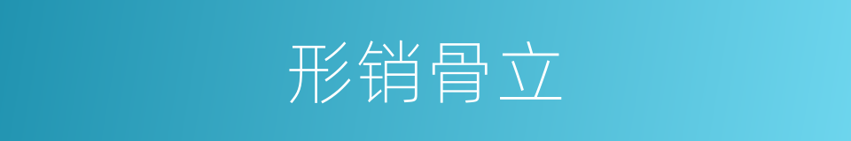 形销骨立的意思