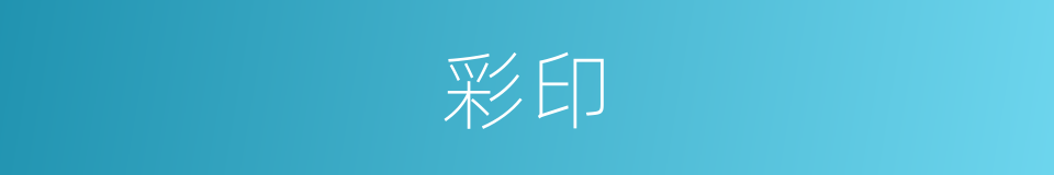 彩印的意思