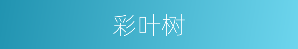 彩叶树的同义词