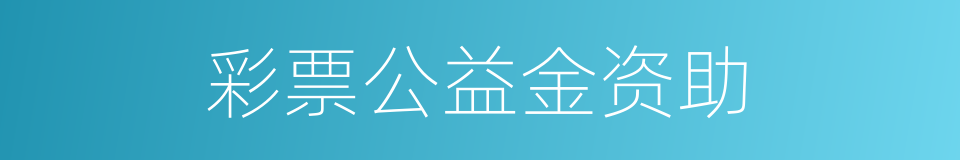 彩票公益金资助的同义词