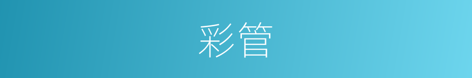 彩管的意思