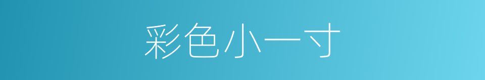彩色小一寸的同义词