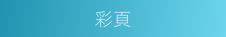 彩頁的意思