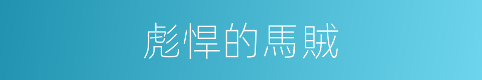 彪悍的馬賊的同義詞