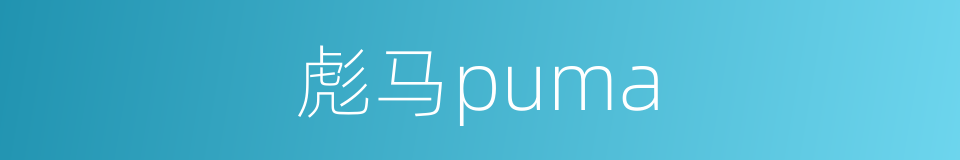 彪马puma的同义词