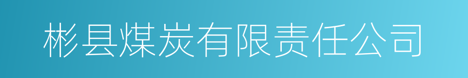 彬县煤炭有限责任公司的同义词