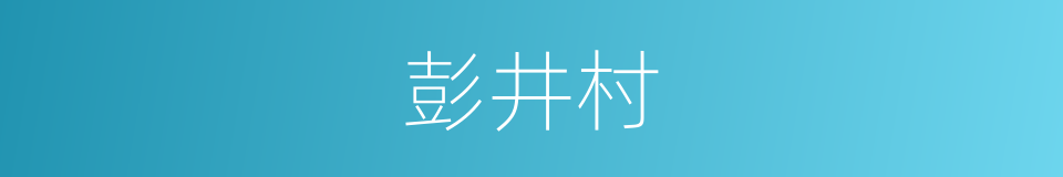 彭井村的同义词