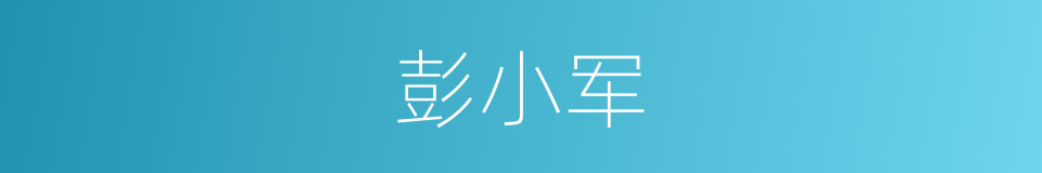 彭小军的同义词