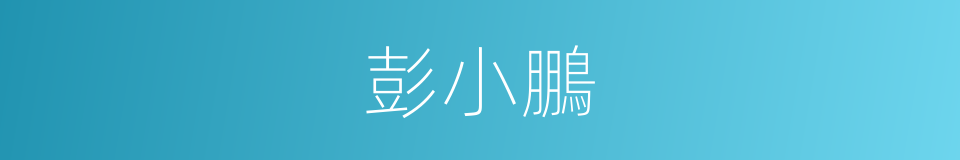 彭小鵬的同義詞