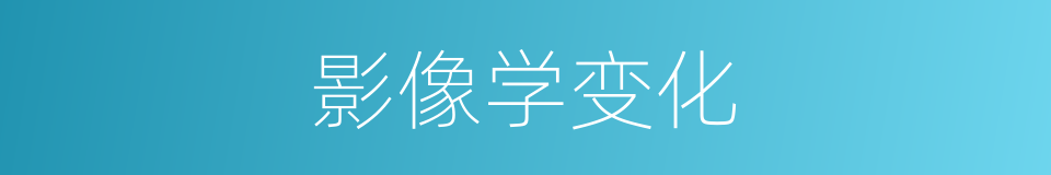 影像学变化的同义词