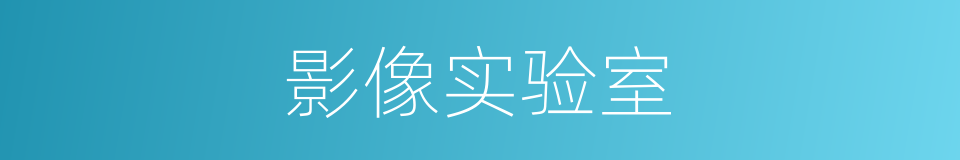 影像实验室的同义词