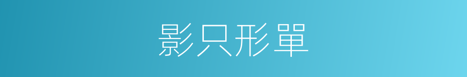 影只形單的意思