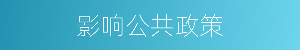 影响公共政策的同义词