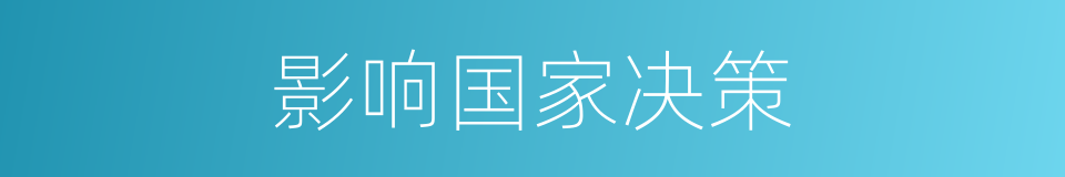 影响国家决策的同义词