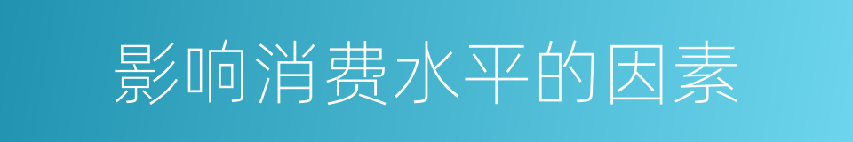 影响消费水平的因素的同义词