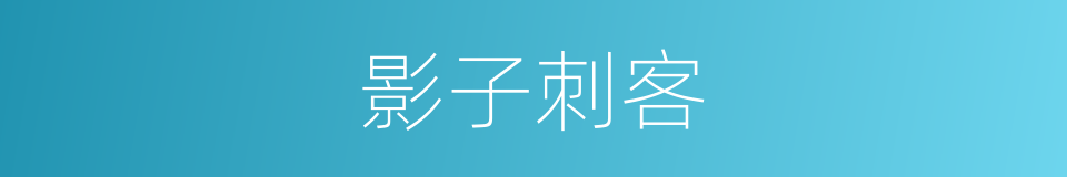 影子刺客的同义词