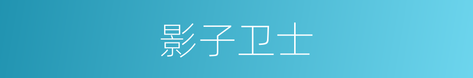 影子卫士的同义词