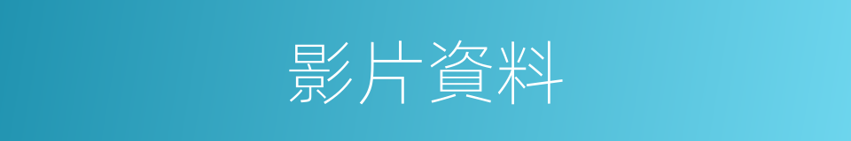 影片資料的同義詞