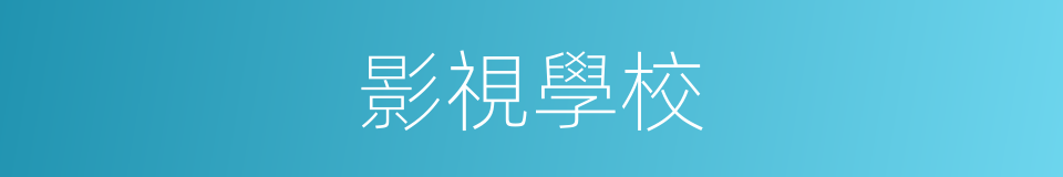 影視學校的同義詞