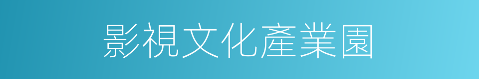影視文化產業園的同義詞