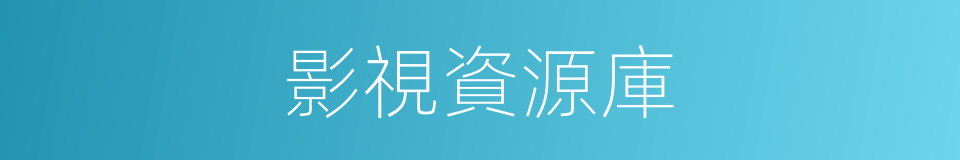 影視資源庫的同義詞