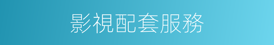 影視配套服務的同義詞
