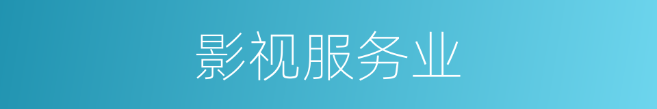 影视服务业的同义词