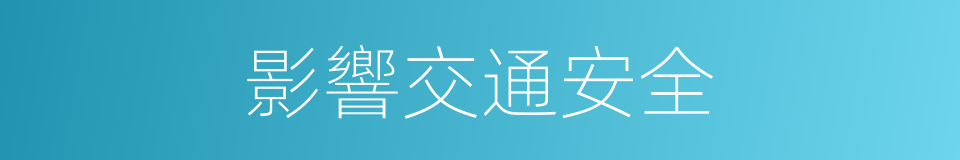 影響交通安全的同義詞